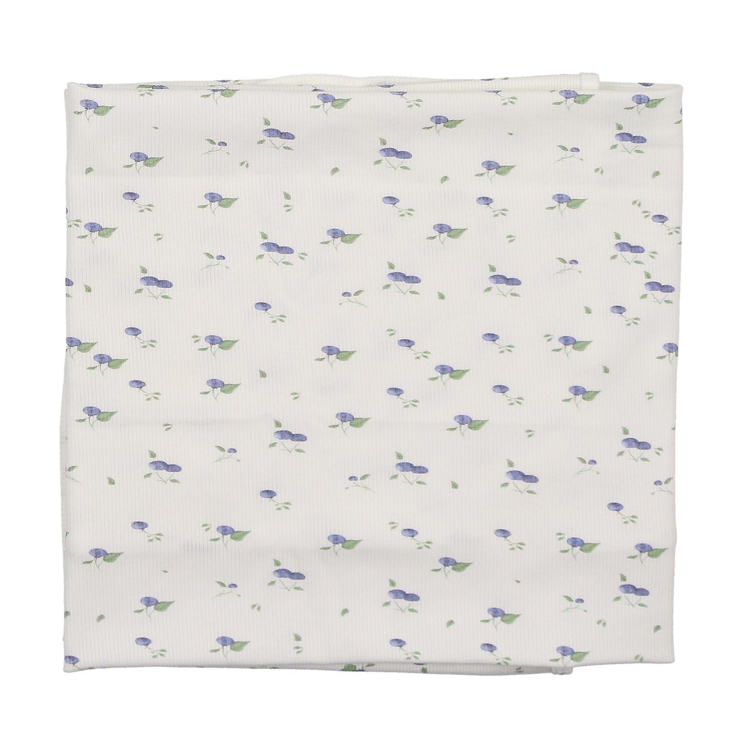 Blueberry Stretchie Layette Set Boy