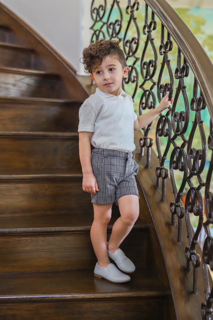 Grey Plaid Shorts